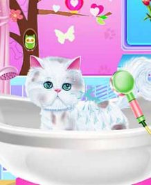 Excellent Pet Groomer 1 Play More Excellent Pet Groomer !