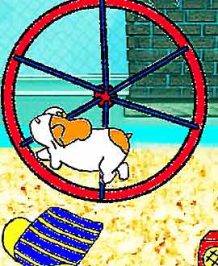 Play with a Virtual Pet Hamster!